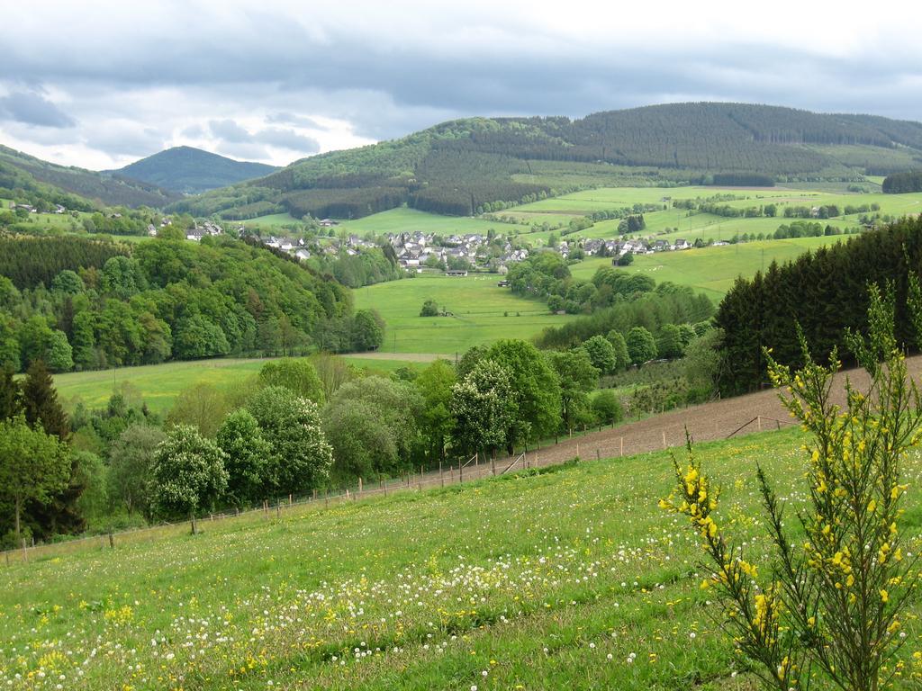 Ferienwohnung Moos-Hochsauerland Wiemeringhausen Номер фото