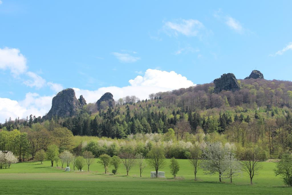 Ferienwohnung Moos-Hochsauerland Wiemeringhausen Номер фото
